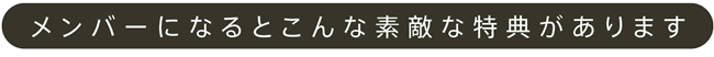 メンバーになるとこんな素敵な特典があります